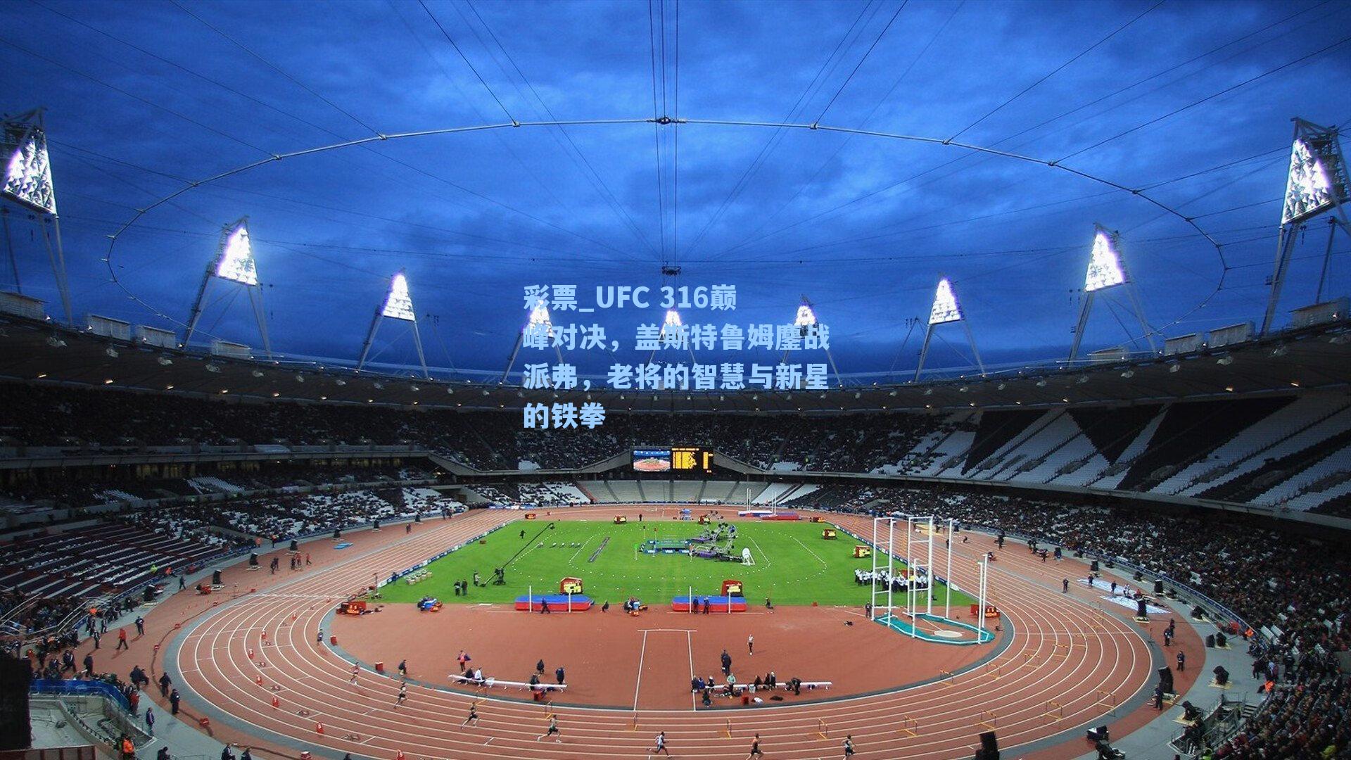 UFC 316巅峰对决，盖斯特鲁姆鏖战派弗，老将的智慧与新星的铁拳