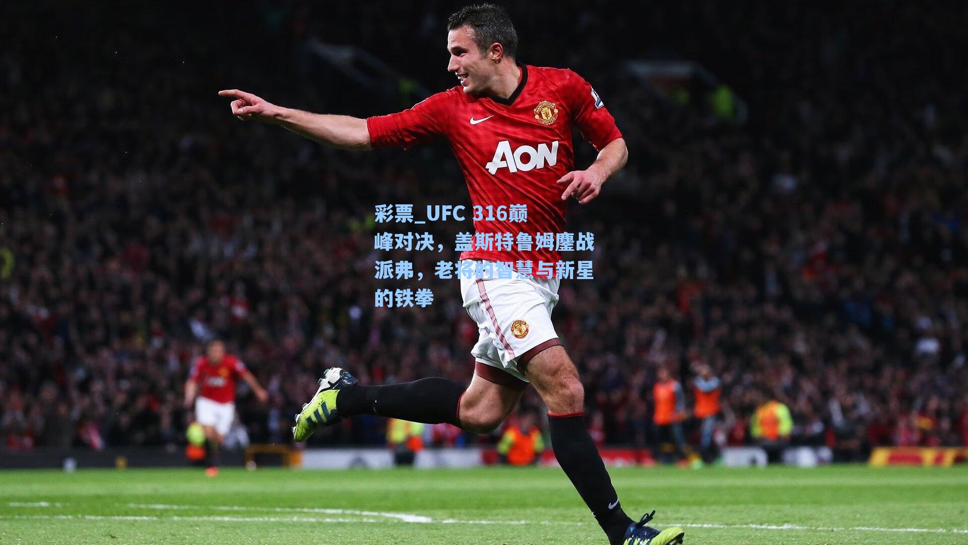 UFC 316巅峰对决，盖斯特鲁姆鏖战派弗，老将的智慧与新星的铁拳